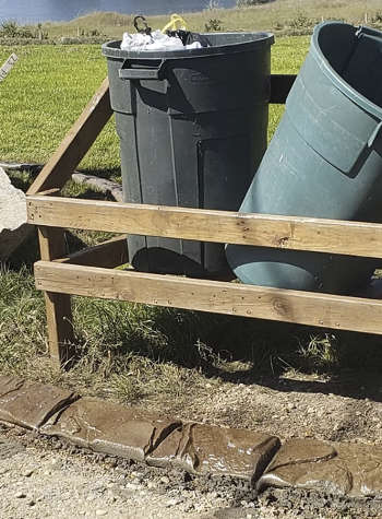 Curb Maintenance Mowing Etc